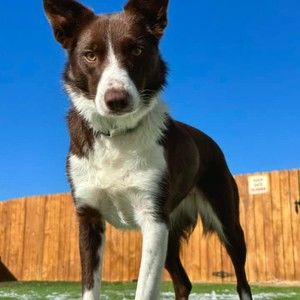 Meet your Posher, Gail